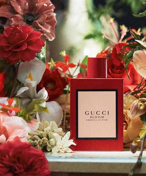 gucci bloom ambrosia di fiori douglas|gucci bloom ambrosia.